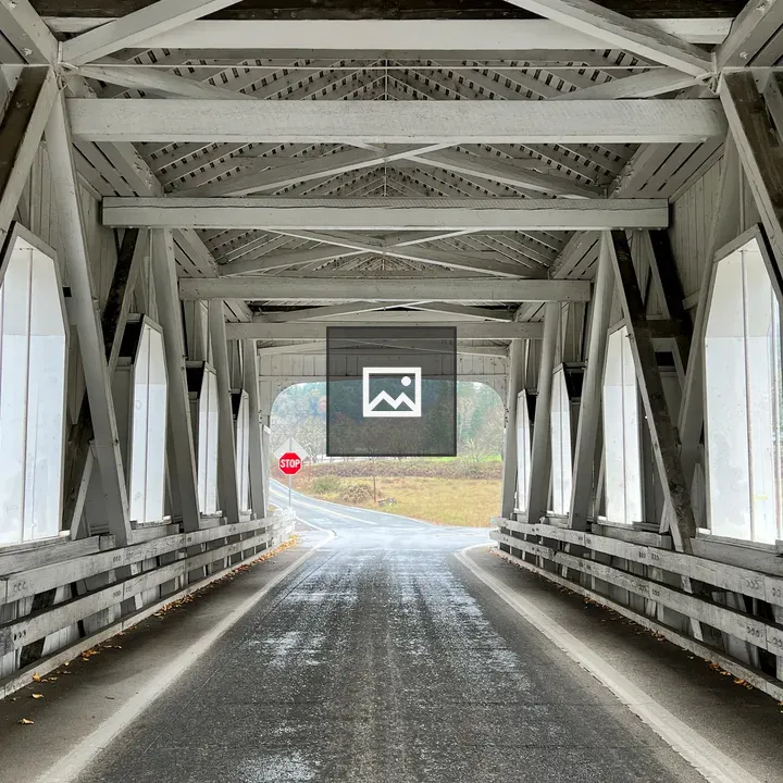 Road through old white covered bridge