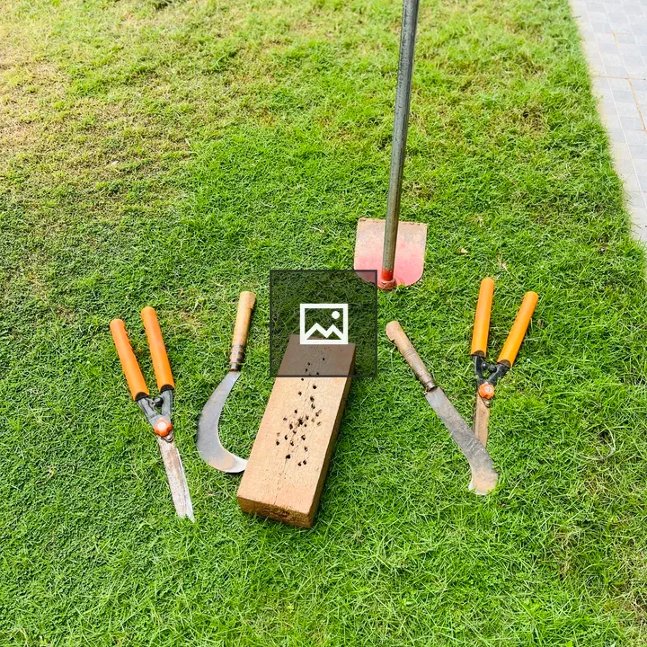 Gardening tools on grass