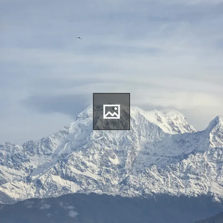 Snowy mountain peaks with birds