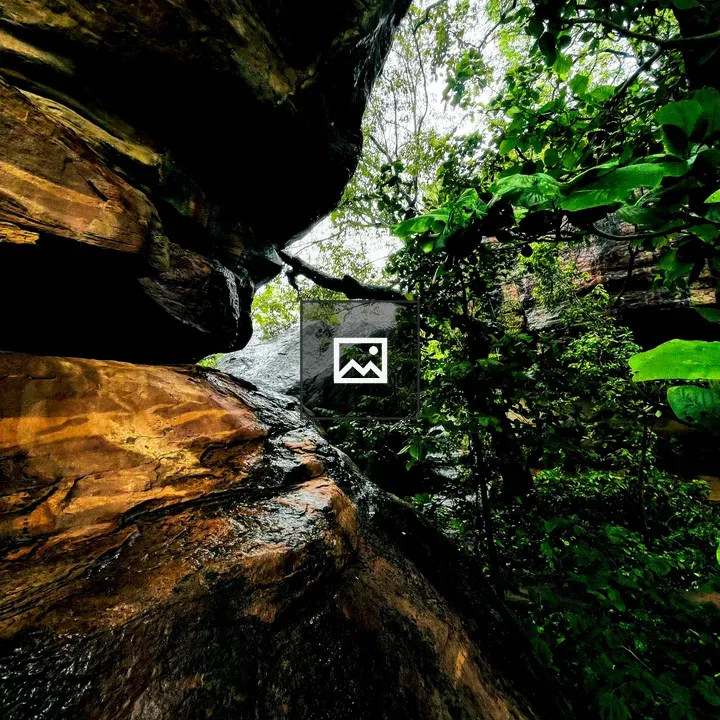 Rainy rocks and foliage