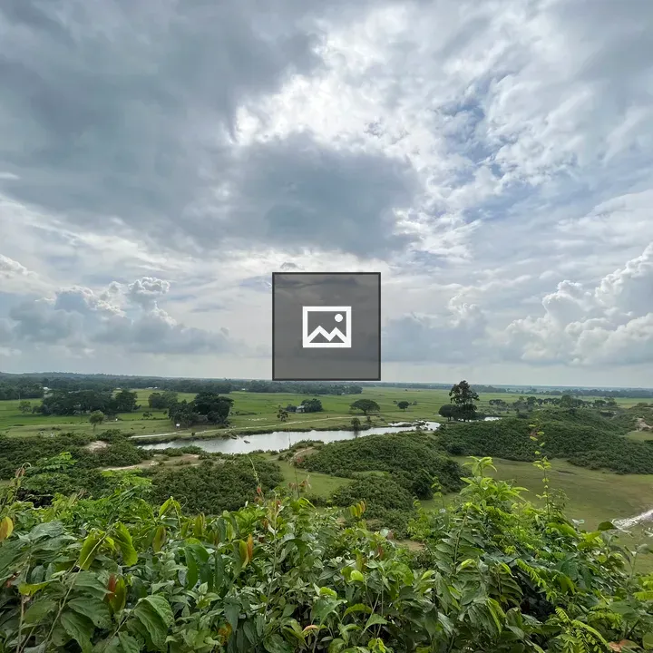 Green Countryside Scene