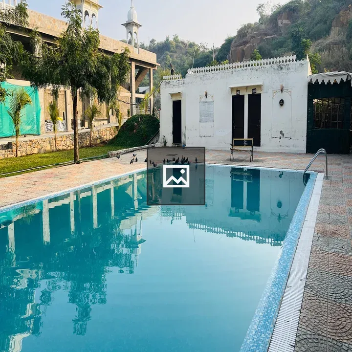 Pigeons by Poolside Scene
