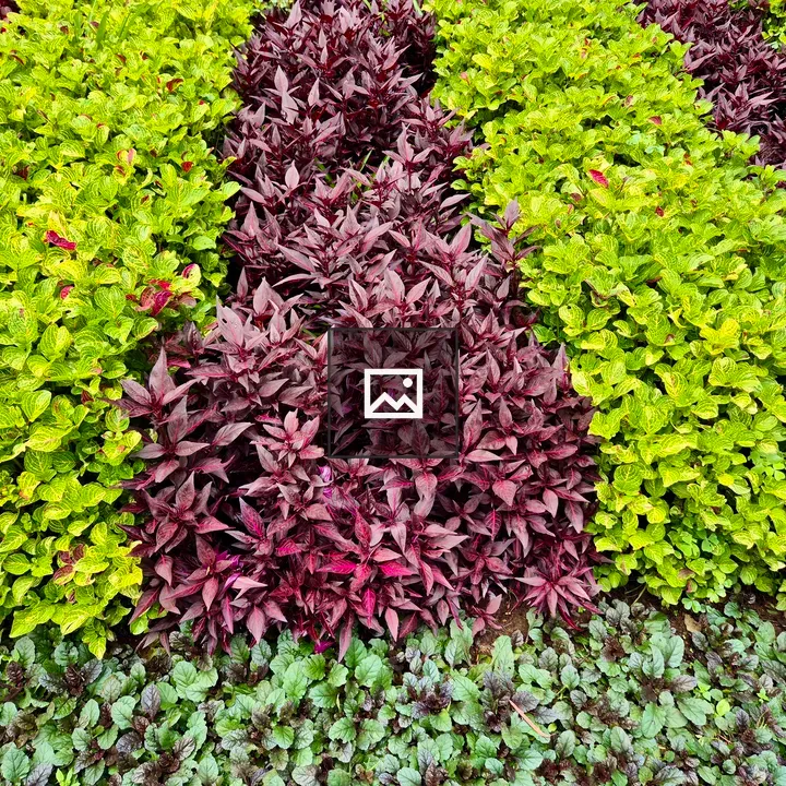 Colorful garden bed at botanical garden