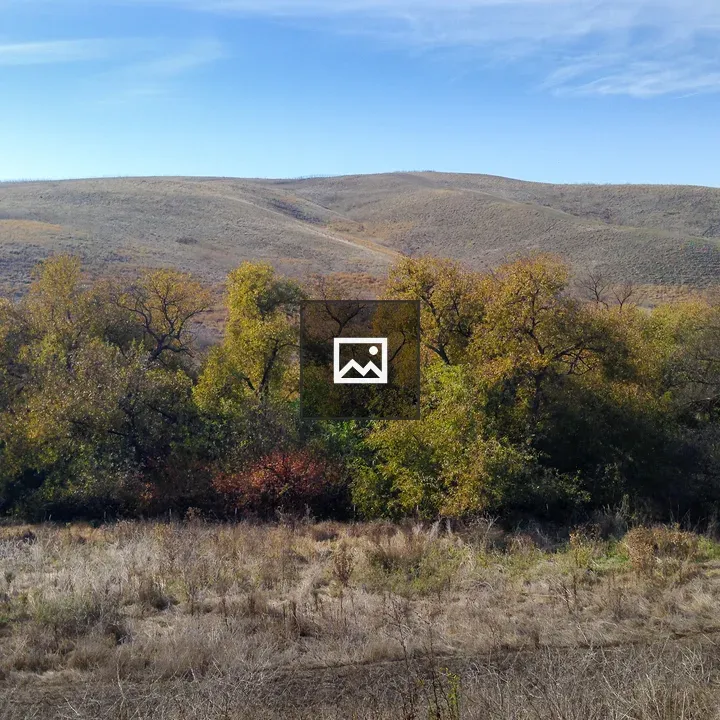 East Bay hills in the fall