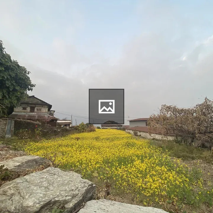 Rural Field with Yellow Wildflowers