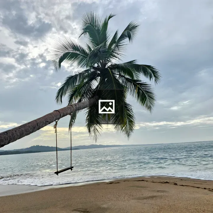 Tropical Beach with Leaning Palm and Swing