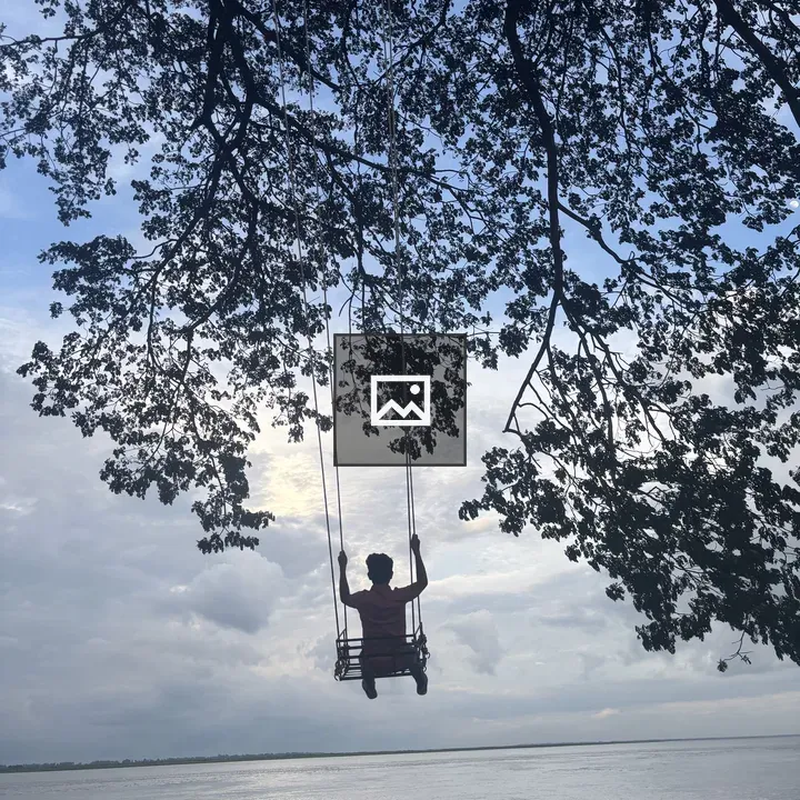 Person on a Swing by Water