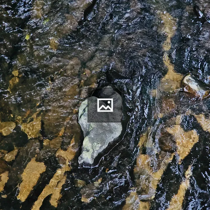 Heart-shaped rock in stream
