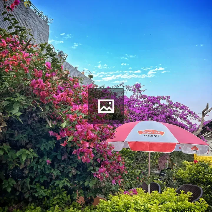 A peaceful restaurant garden scene