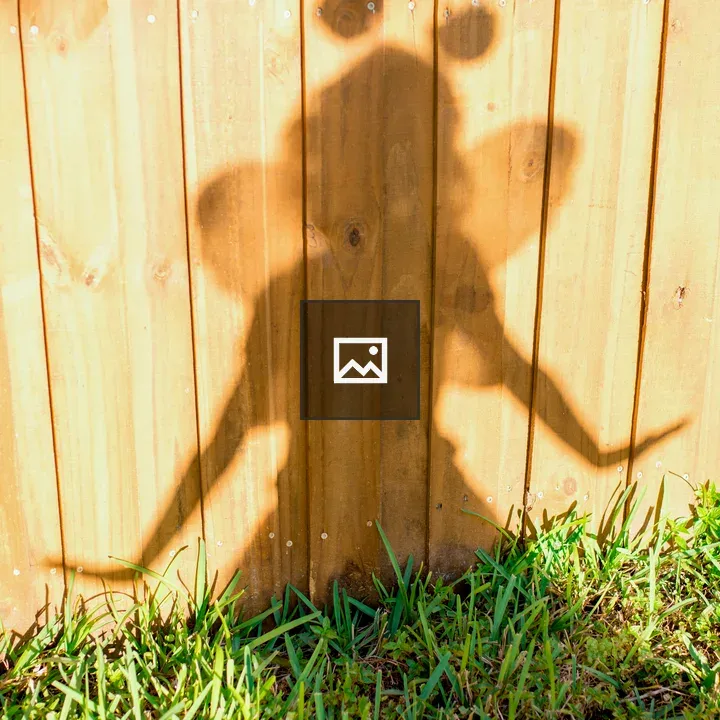 Shadow of a Fairy on Fence