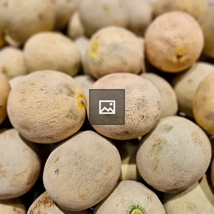 Light brown musk melons in a pile