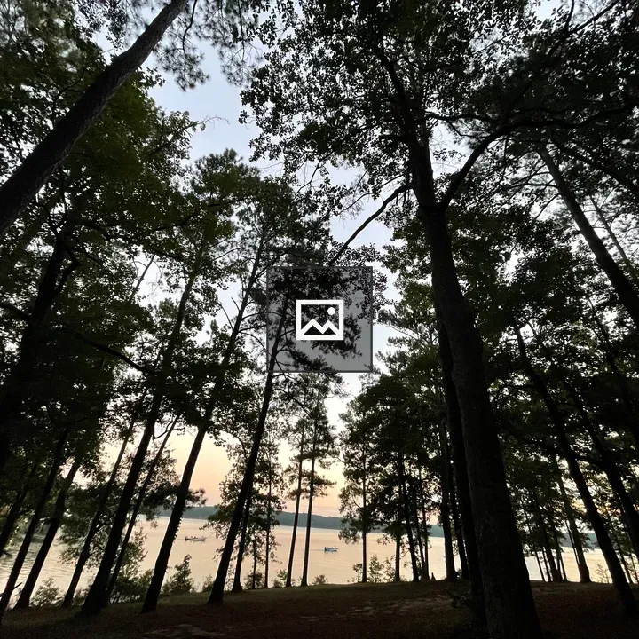 Lakeside Forest Morning