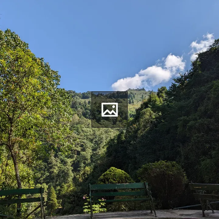 Darjeeling Queen of the Hills