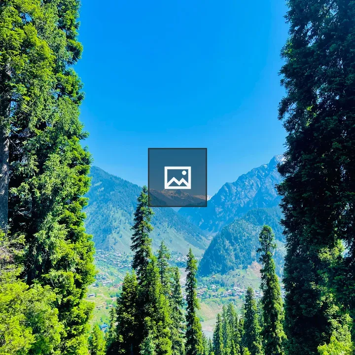 Mountain landscape with conifers