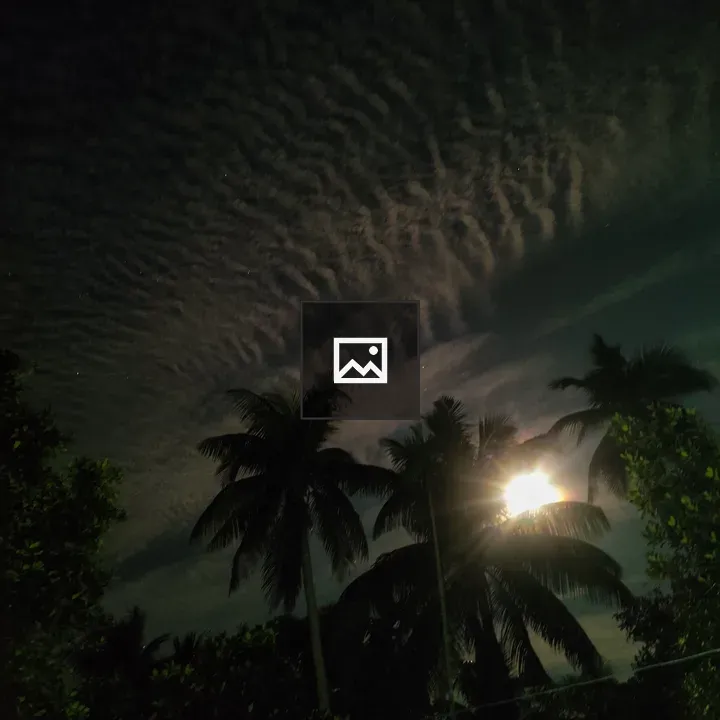 Full Moon Over Palm Trees