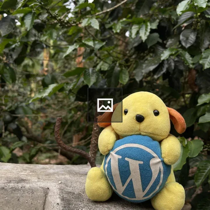 Wapu in the Dipilto Coffee Farm