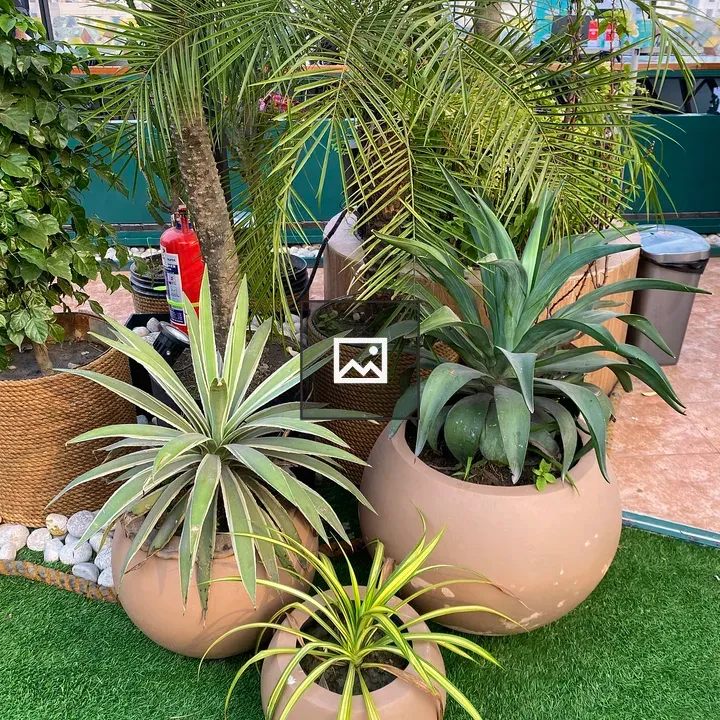 Corner Rooftop Garden Pots