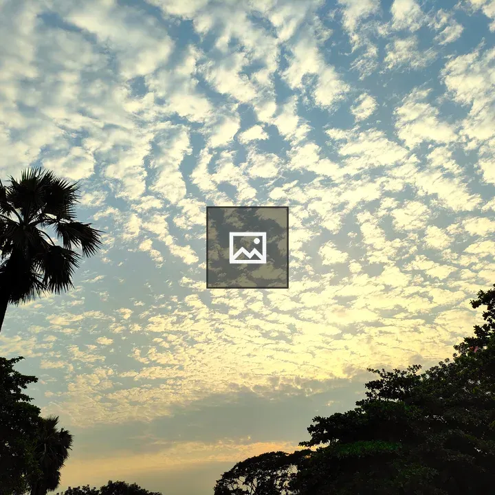 Cumulus Clouds and Palm Silhouette