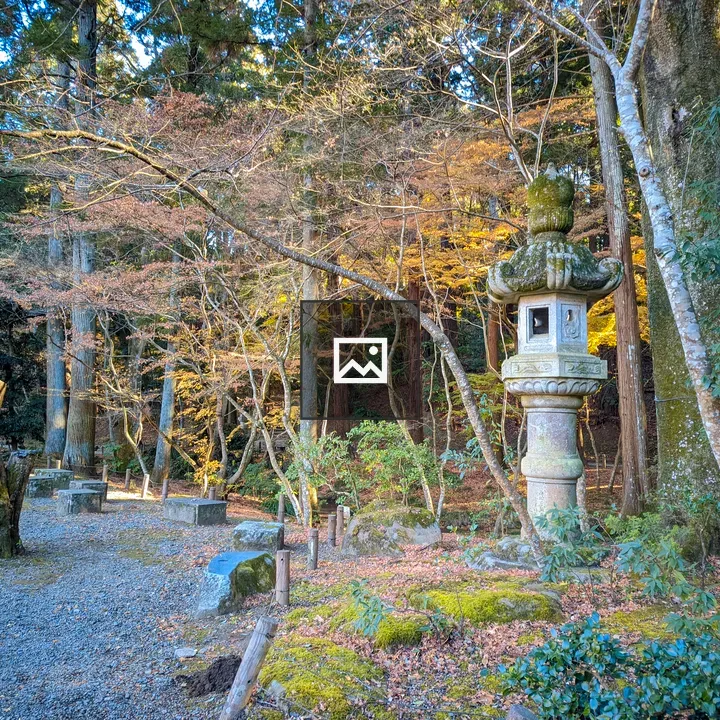 Stone statue in woods
