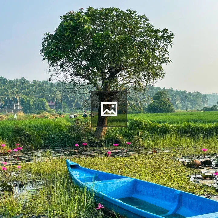 Pond with boat and water lilies