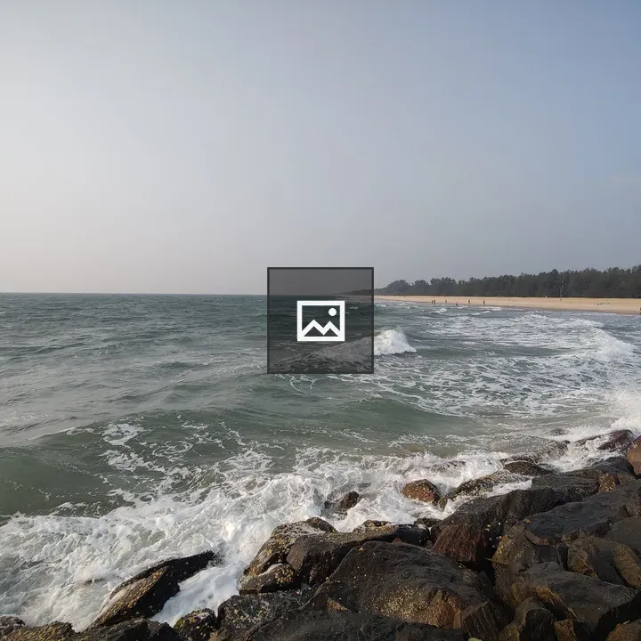 Beach view with rocks