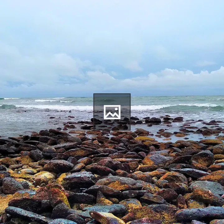 Rocky Sea Shore