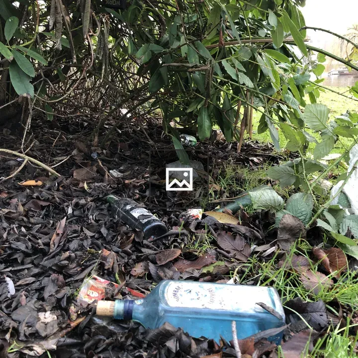 Debris under a Bush with Bottles