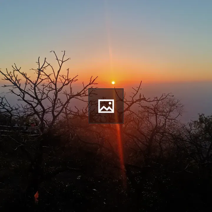Sunset on a Branch