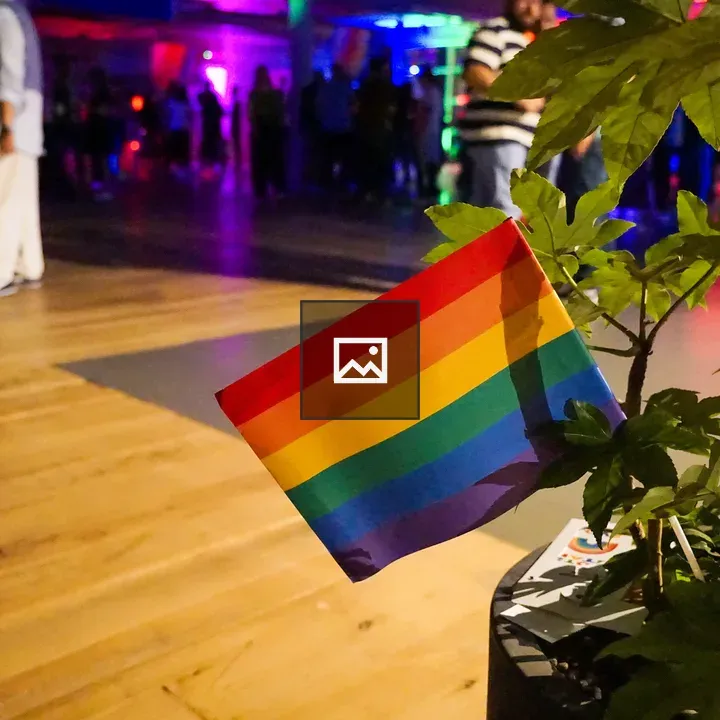 Rainbow flag in a potted plant