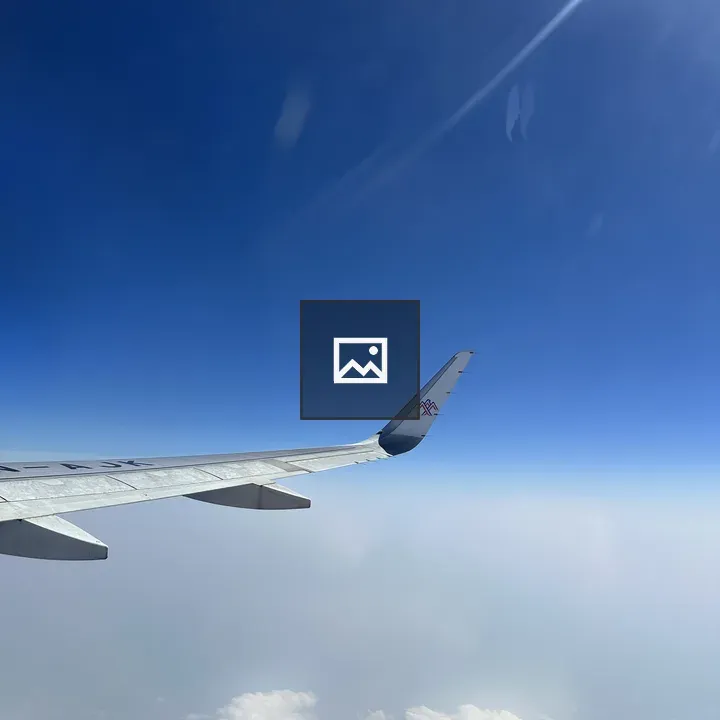 Aeroplane wings