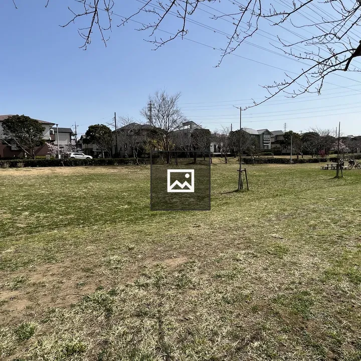 Grassy field with bare trees