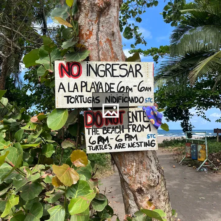 Wooden sign on tree in Costa Rica