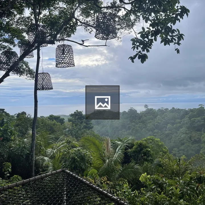 Decorative lanterns in jungle scene