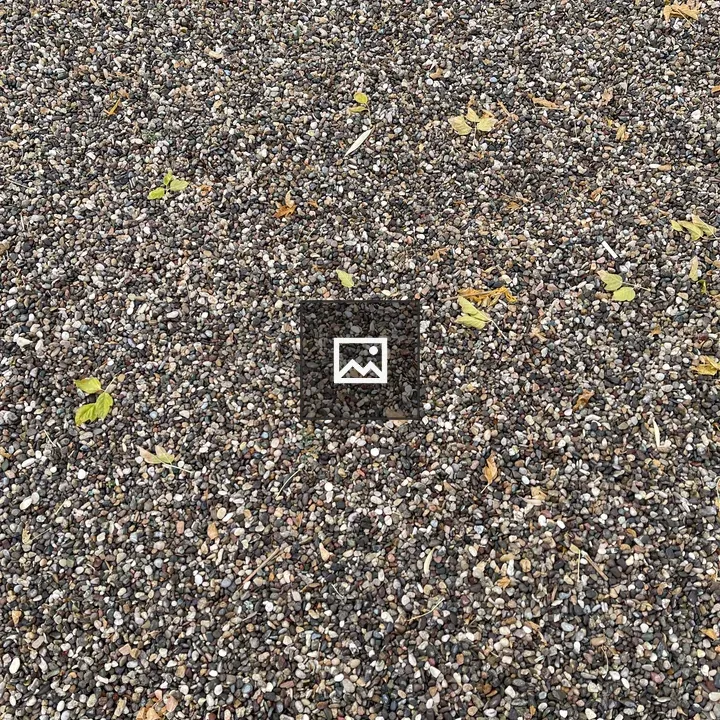 Stones and Leaves in Nature