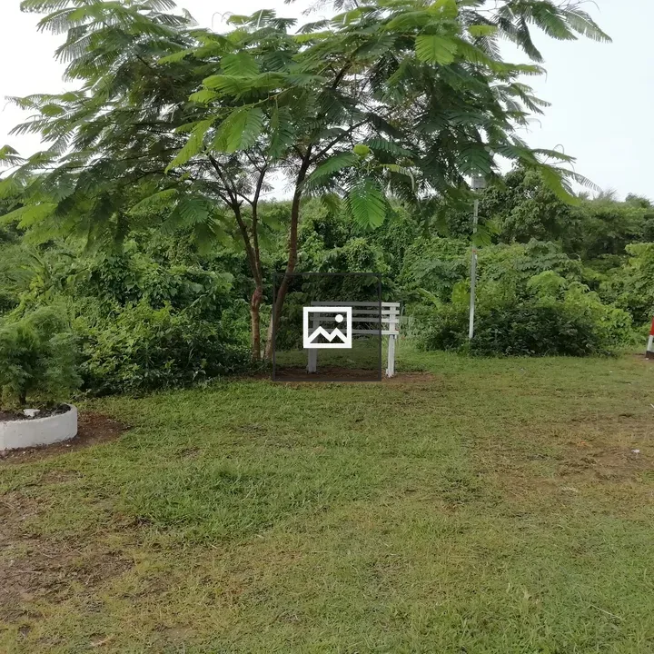 Nice seating under the tree