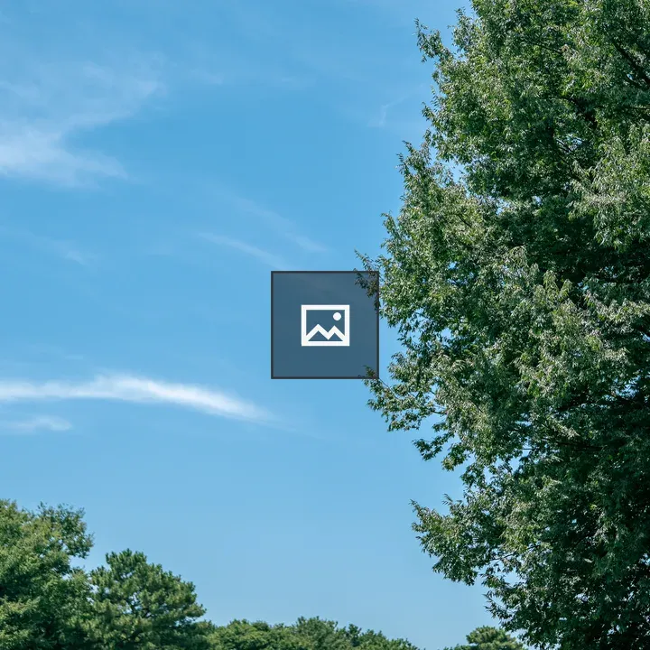 Blue sky with trees