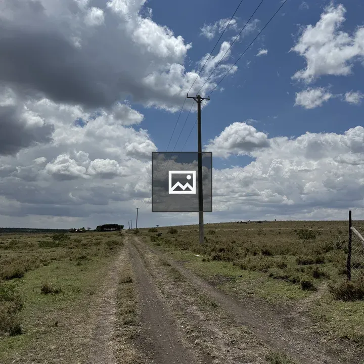Rural dirt road with utility pole