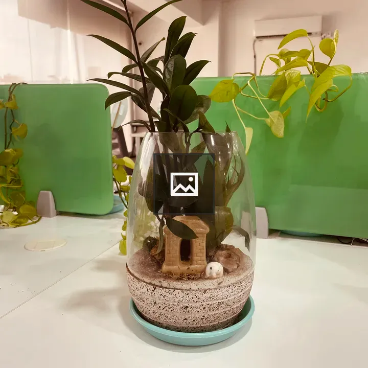 Glass terrarium on desk