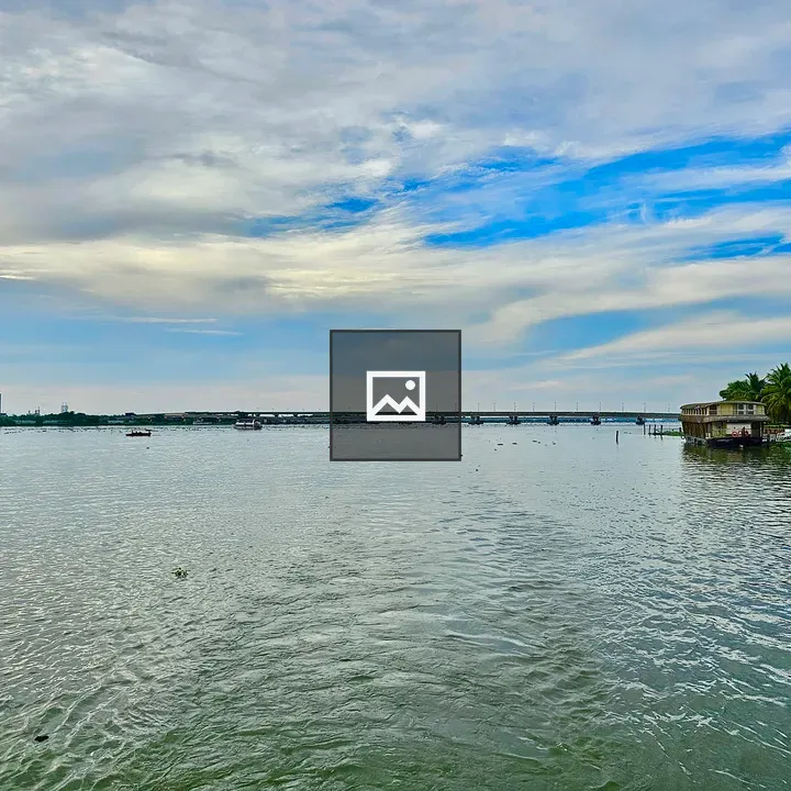 Cochin Backwaters and Goshree Bridges