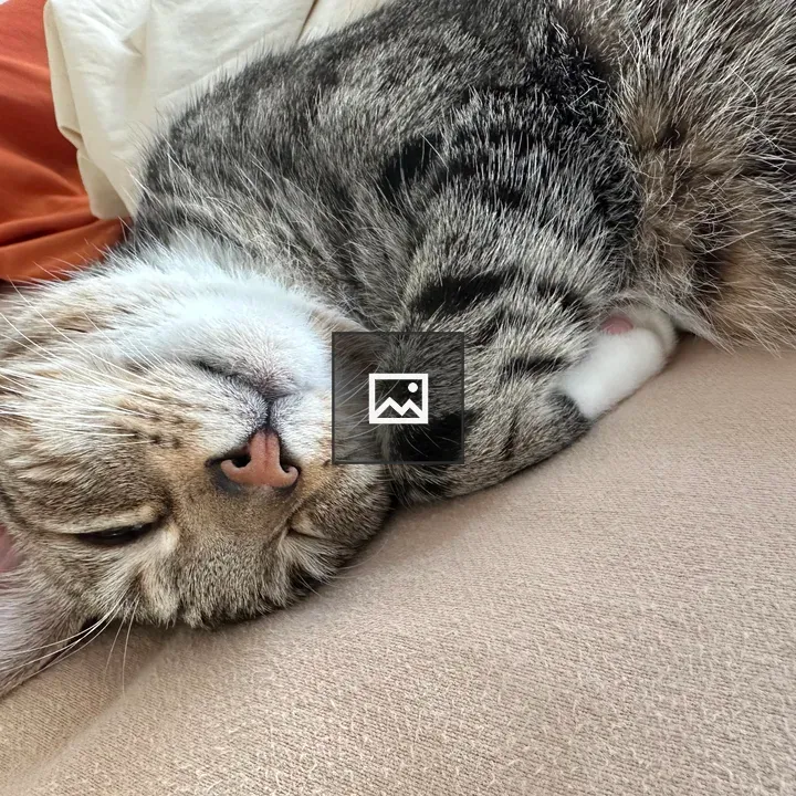 Black and white tabby cat sleeping