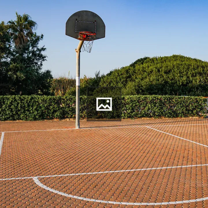 Basketball Court with Hoop