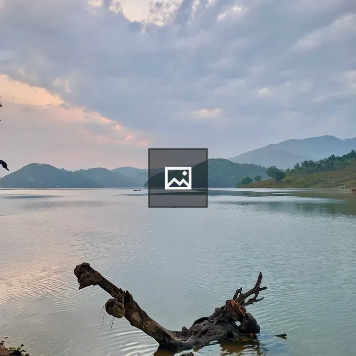 Serene lake with a large tree branch