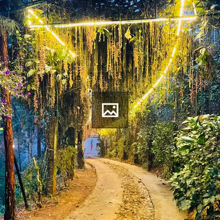 Ambience lighting at night