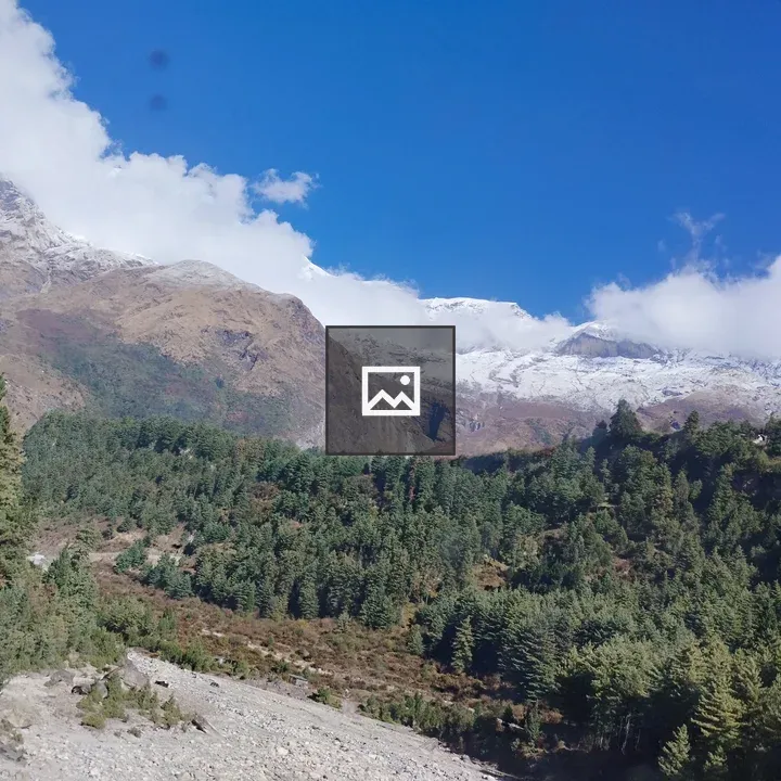 Snowy mountains with pine forest