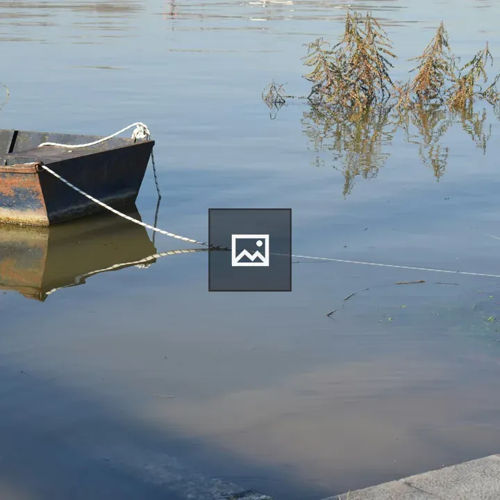 Rusty Boat in Pond