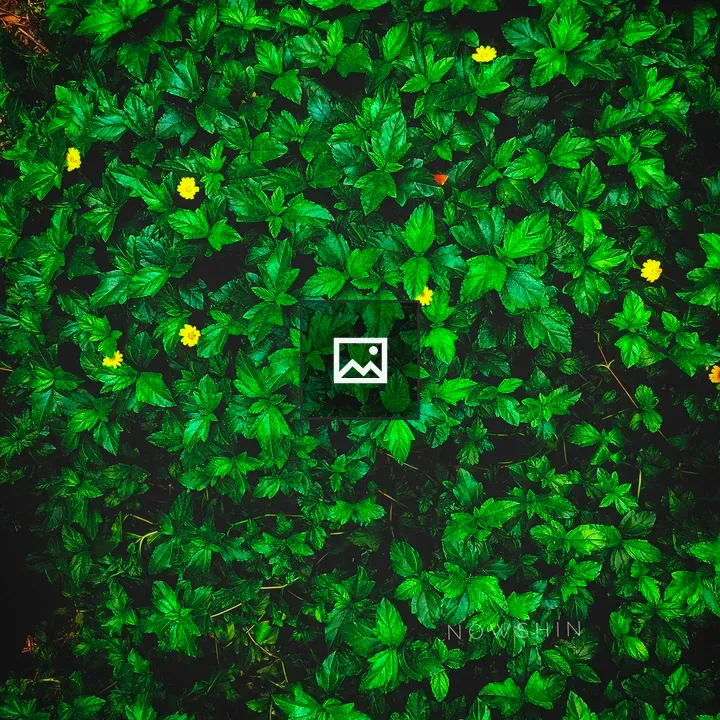 Dense green foliage with flowers
