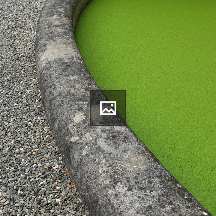 Contraste Nature Scene
