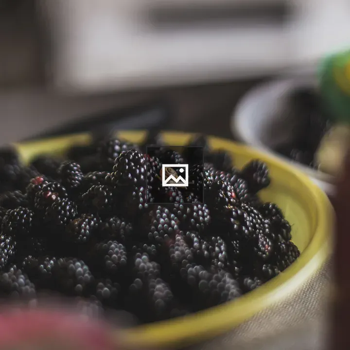 Close-up Blackberries with Snail