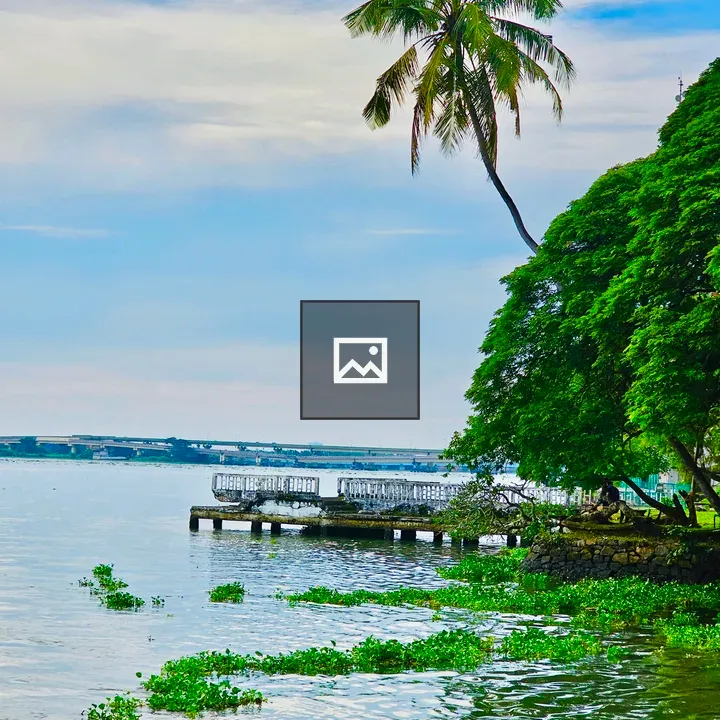 Coconut tree and water hyacinth at Cochin backwaters