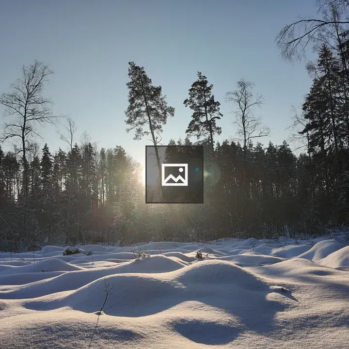 Valmiera Winter Landscape